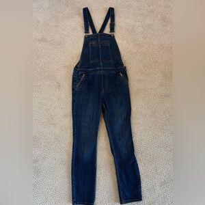 Free People Fitted Stretch Denim Overalls
